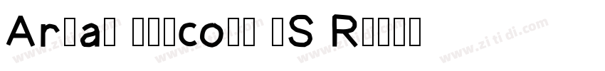Arial Unicode MS R字体转换